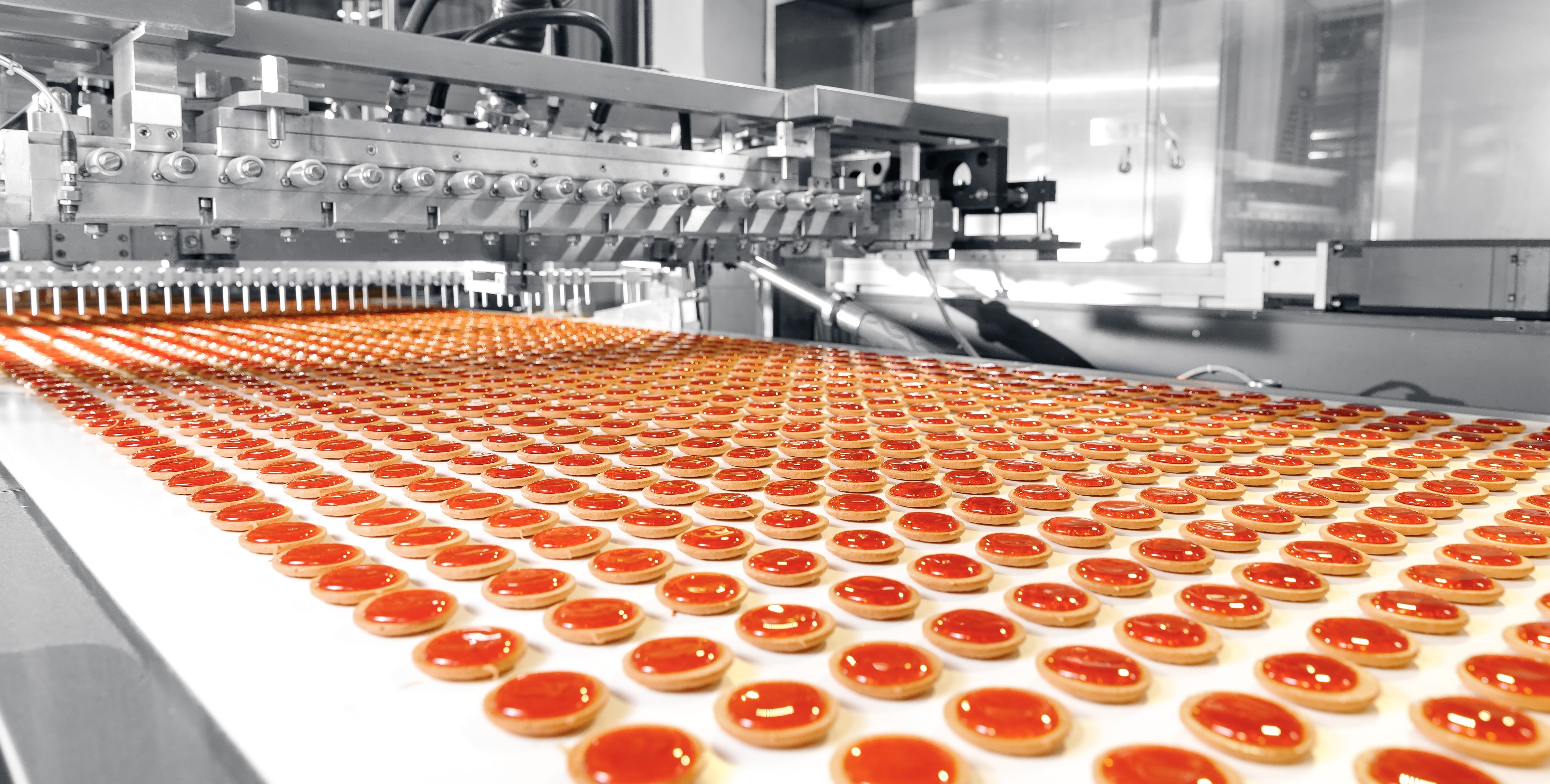 Food Safety Starts with Metal Detectable O-Rings